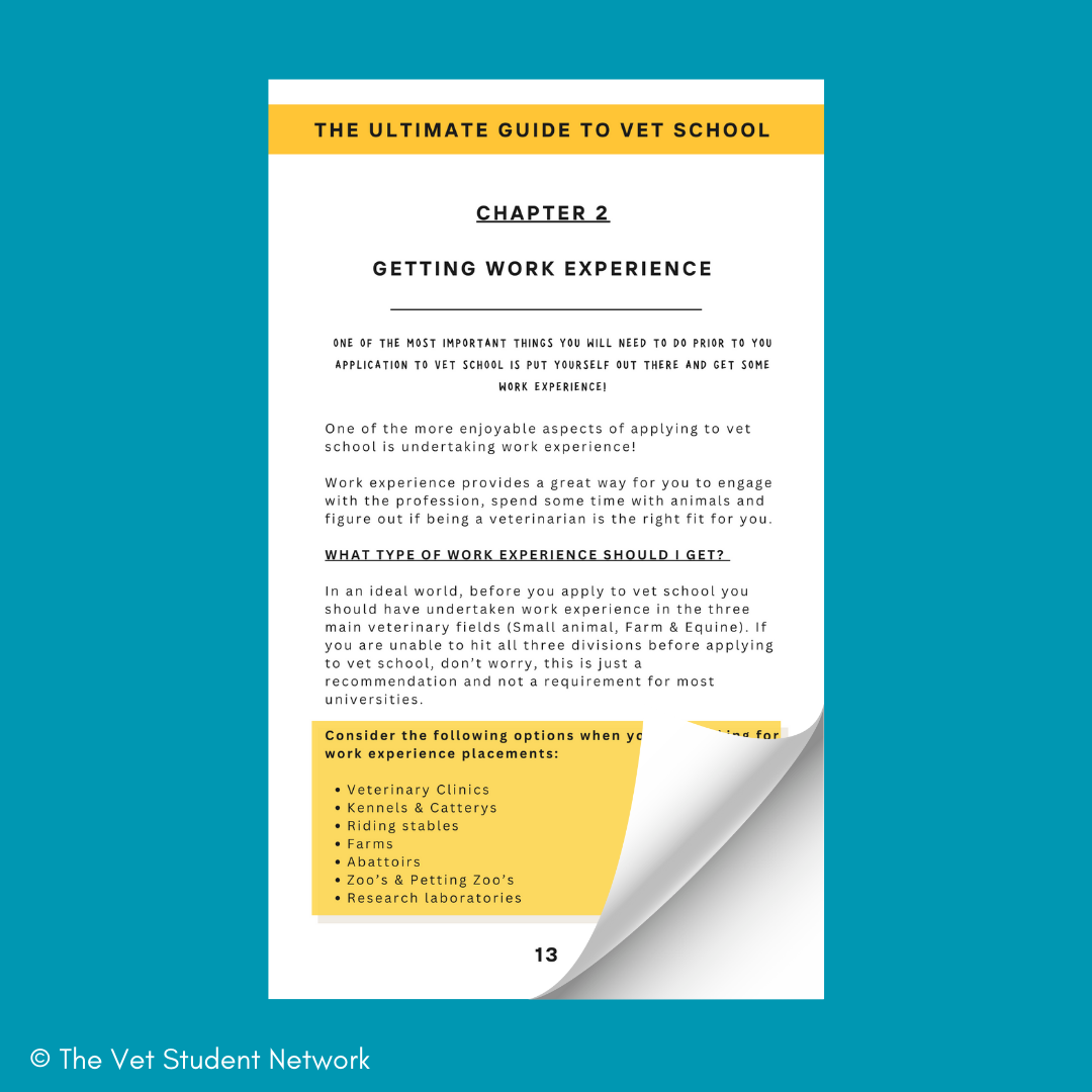 The Ultimate Guide To Vet School - Ebook